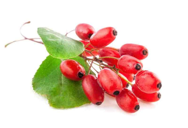 Berberine