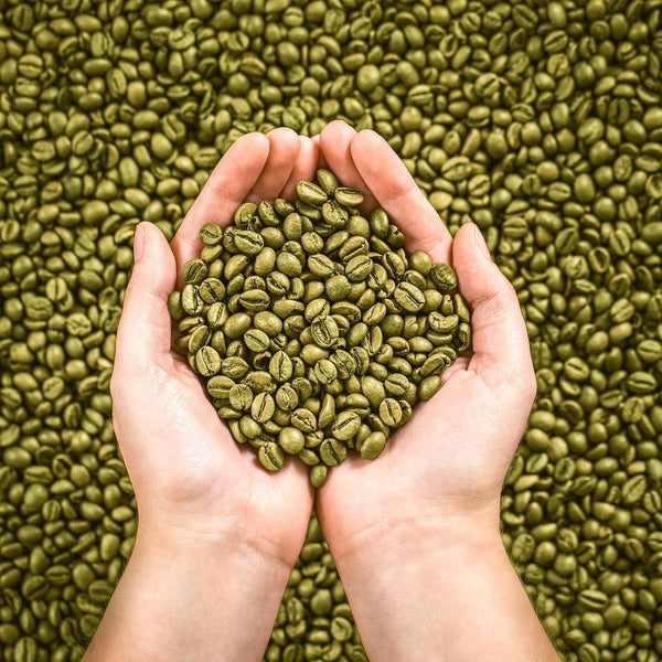 Green Coffee Extract