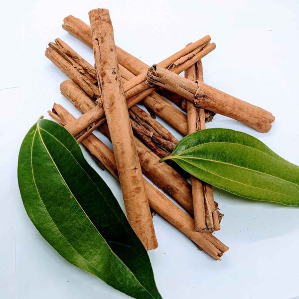 Cinnamon Extract